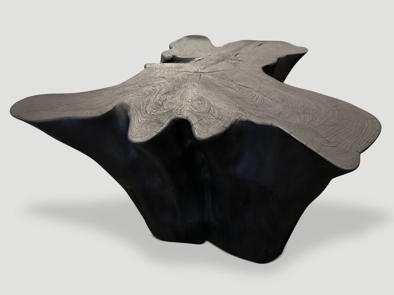 Sculptural Charred Teak Wood Coffee Table