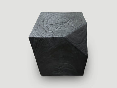 Modular Charred Side Table