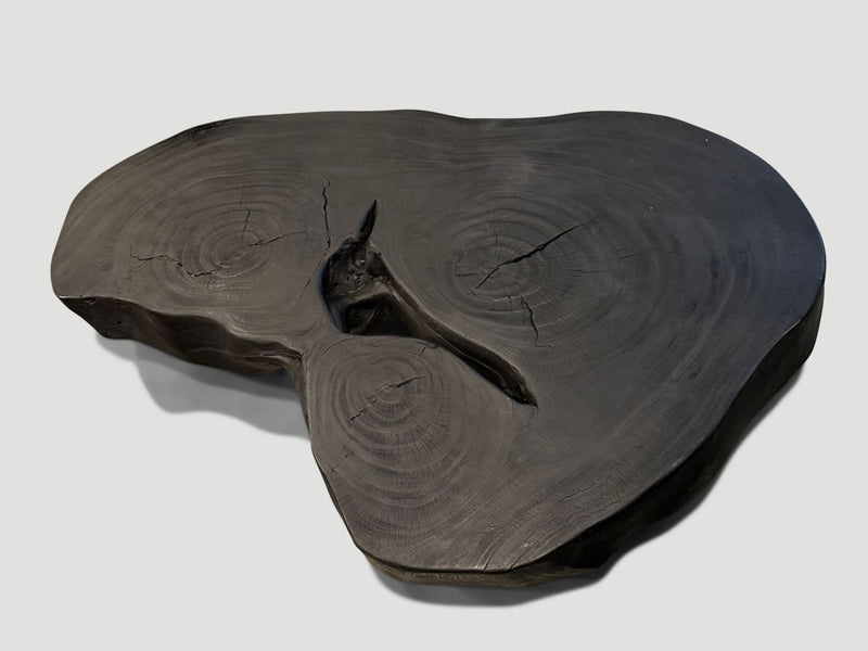 Impressive Single Slab Charred Coffee Table