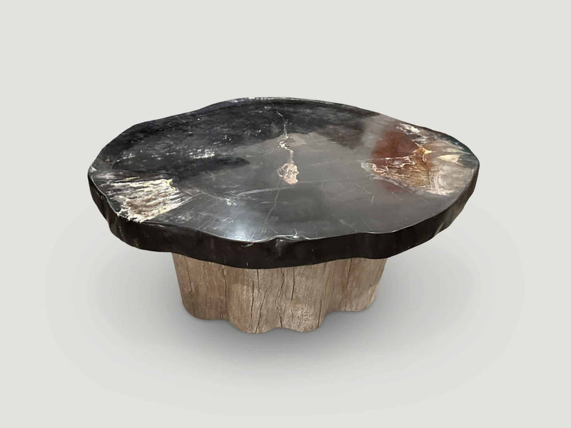 Super Smooth Petrified Wood Coffee Table with an Organic Teak Base