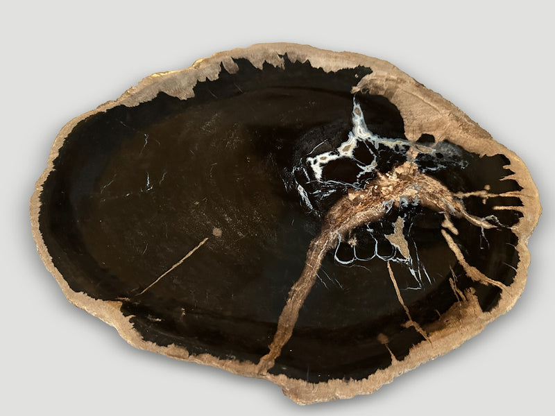 Petrified Wood Shallow Dish