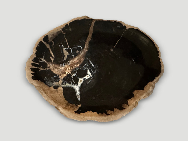 Petrified Wood Shallow Dish