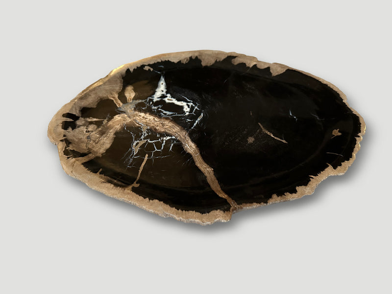 Petrified Wood Shallow Dish