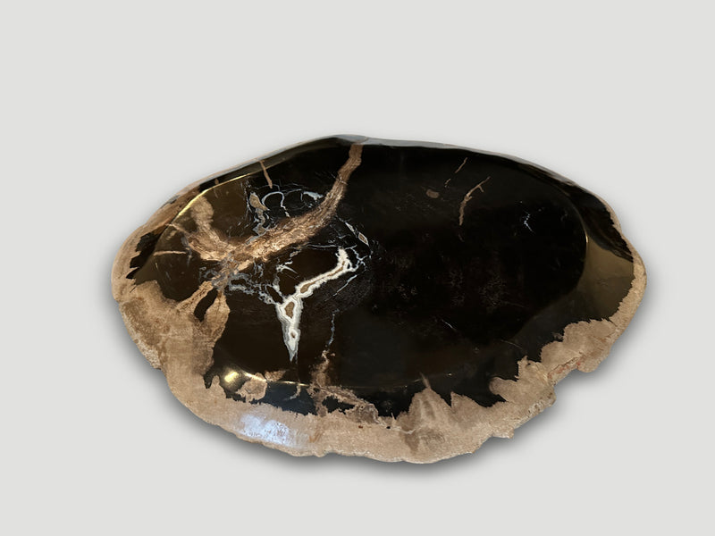 Petrified Wood Shallow Dish