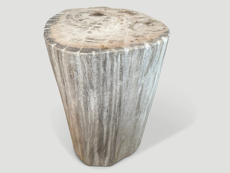 High Quality Petrified Wood Side Table