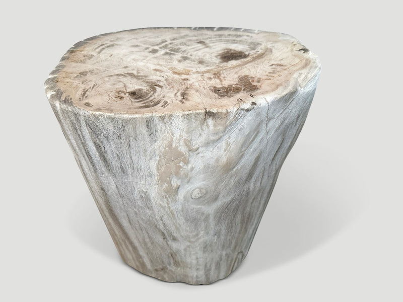 High Quality Petrified Wood Side Table