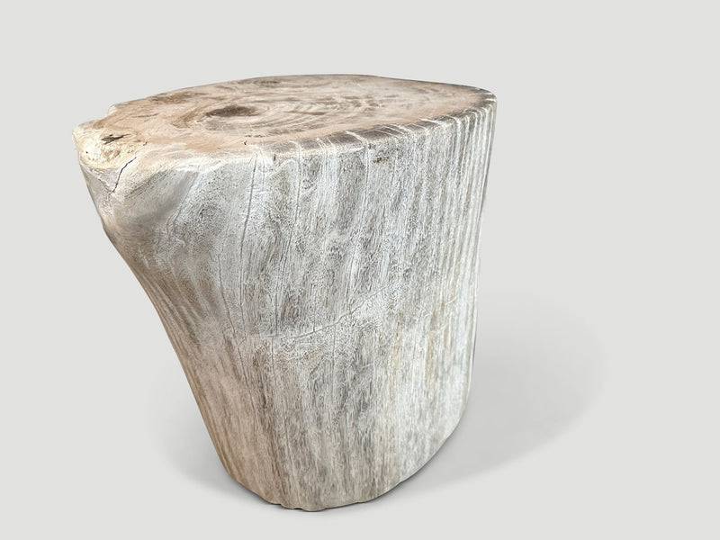 High Quality Petrified Wood Side Table