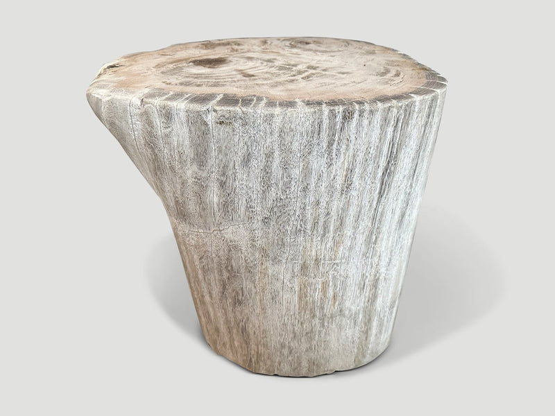 High Quality Petrified Wood Side Table