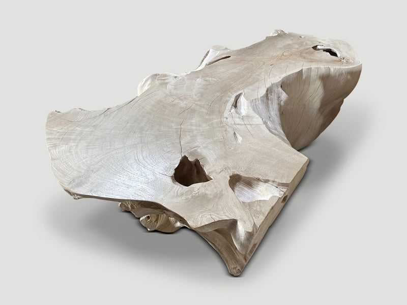 Monumental Bleached Teak Coffee Table
