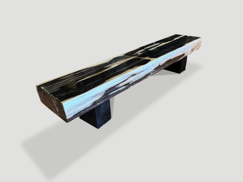 Impressive Petrified Wood Bench