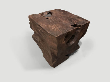 Modern Organic Charred Side Table