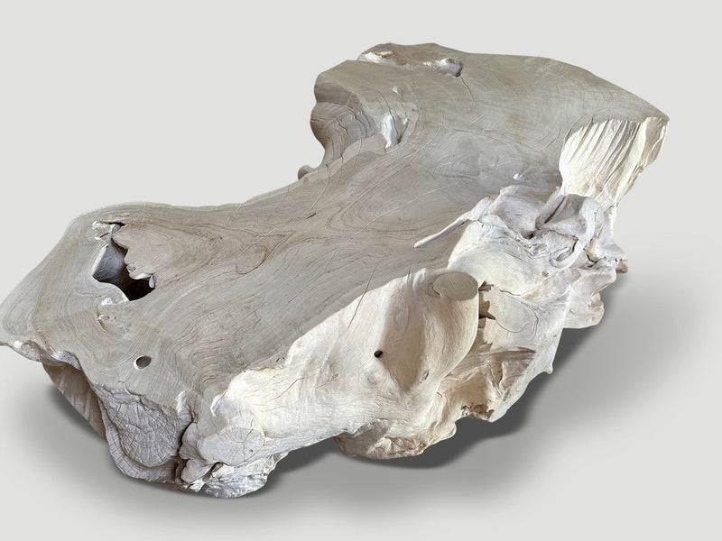 Monumental Bleached Teak Coffee Table