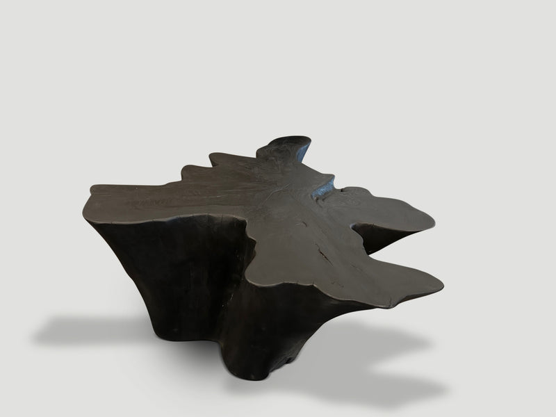 Sculptural Charred Teak Wood Coffee Table
