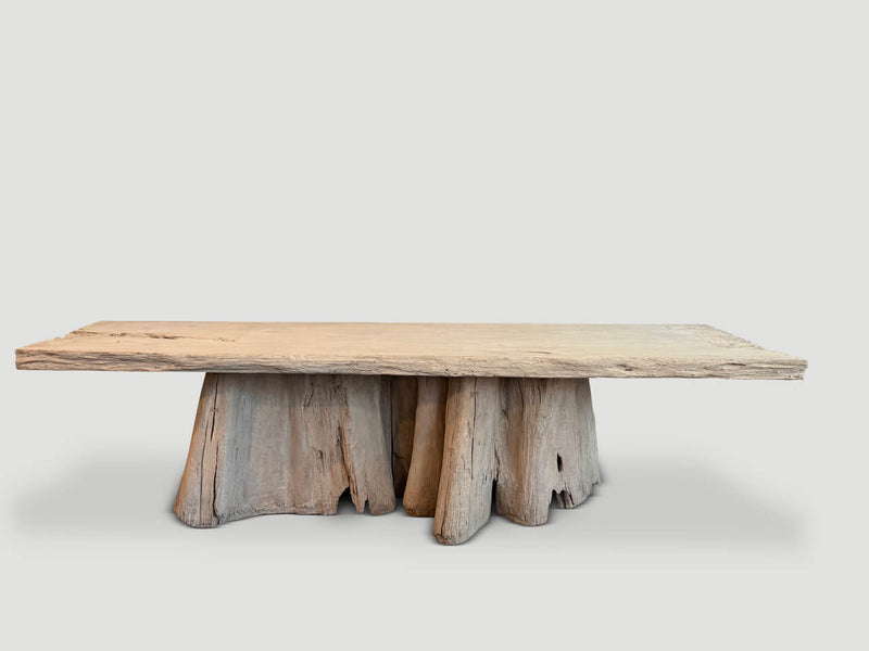 Monumental Organic Teak Root Console or Dining Table