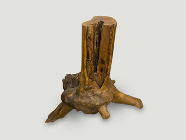 Organic Teak Root Side Table