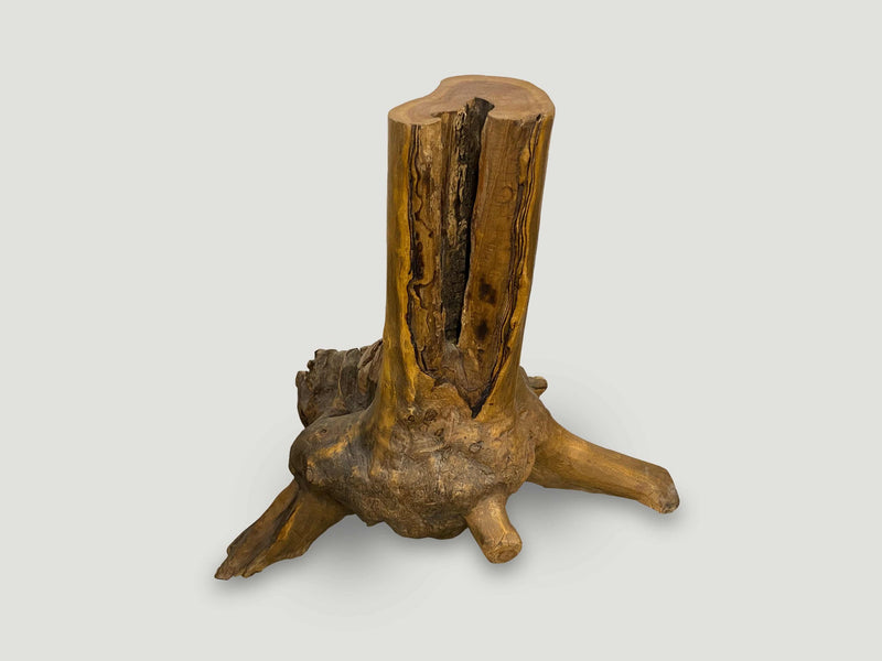 Organic Teak Root Side Table