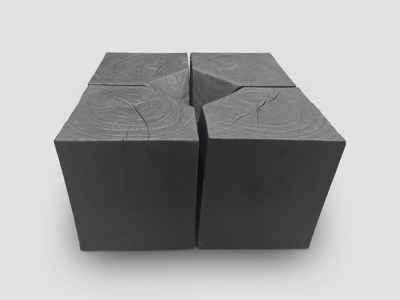 Modular Charred Coffee Table