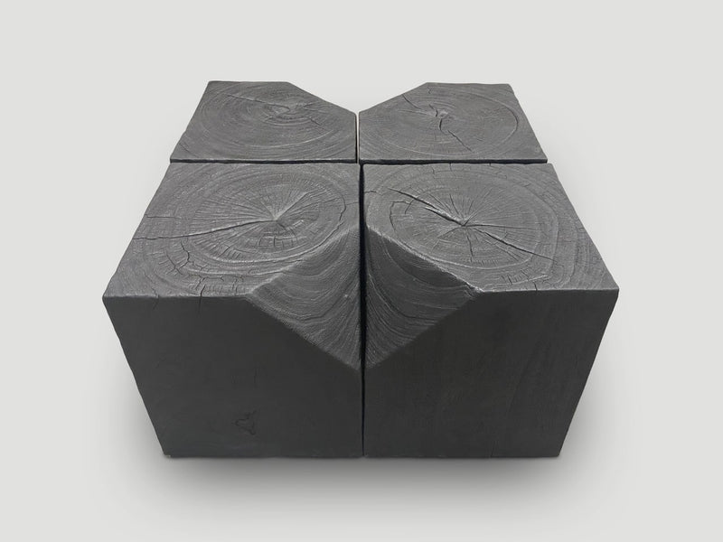 Modular Charred Coffee Table