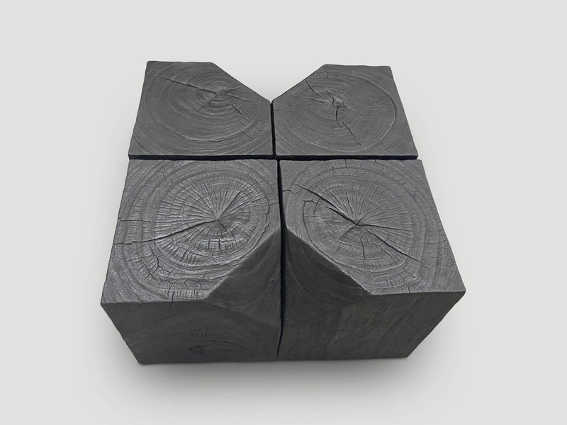 Modular Charred Coffee Table