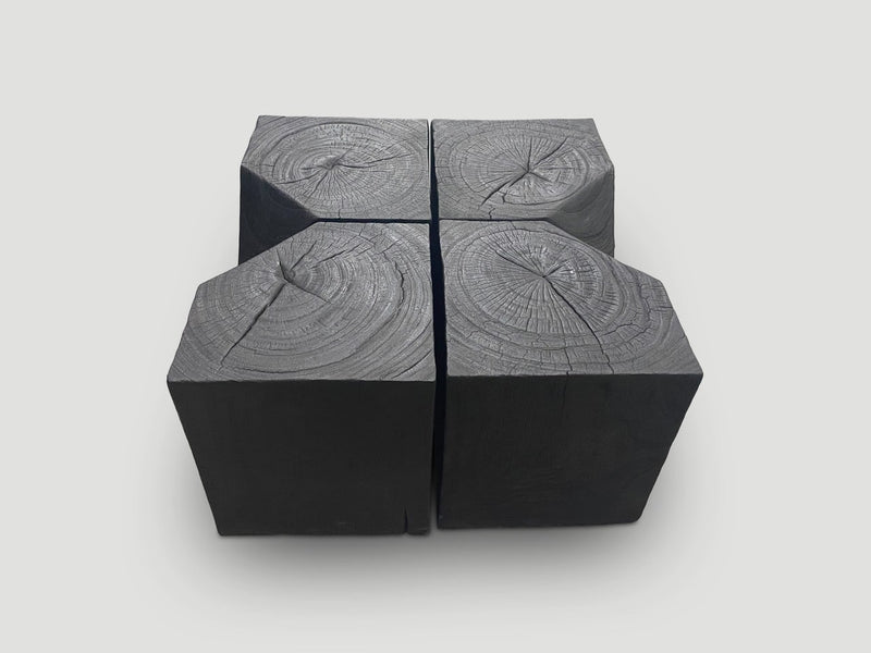 Modular Charred Coffee Table