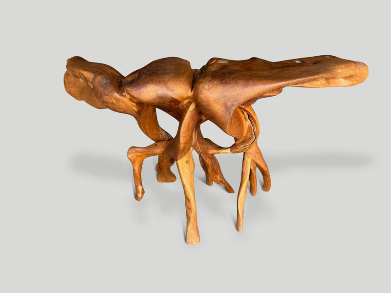 Organic Sculptural Teak Console Table