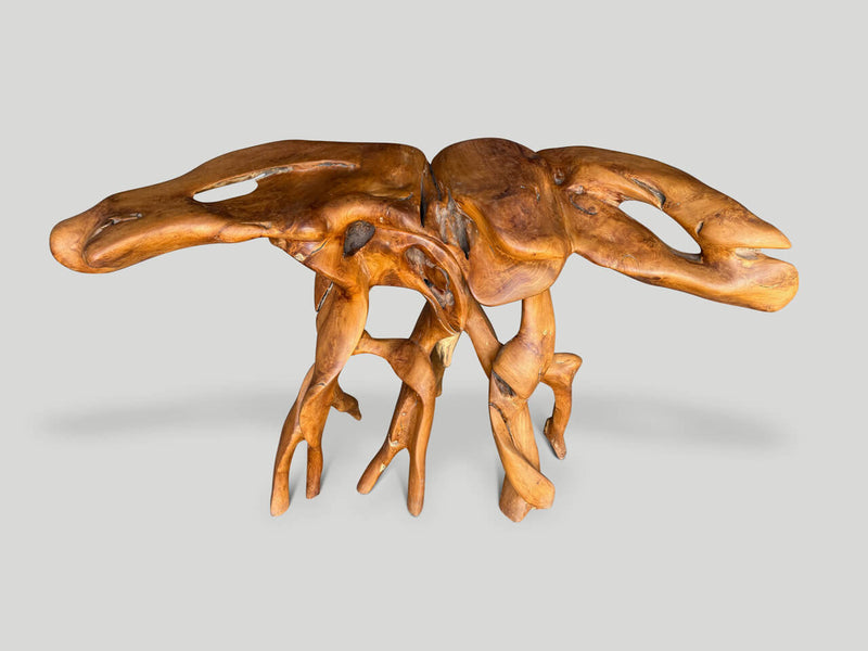 Organic Sculptural Teak Console Table