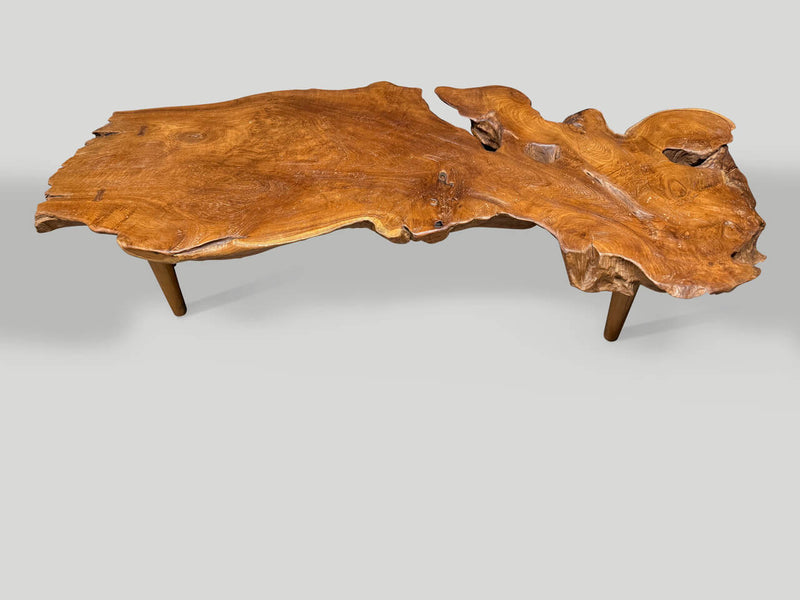 Sculptural Organic Coffee Table