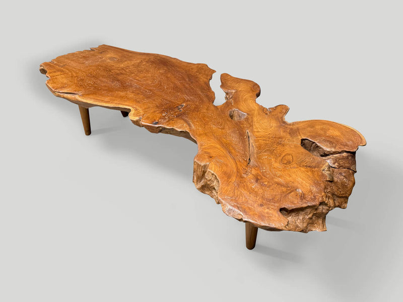 Sculptural Organic Coffee Table