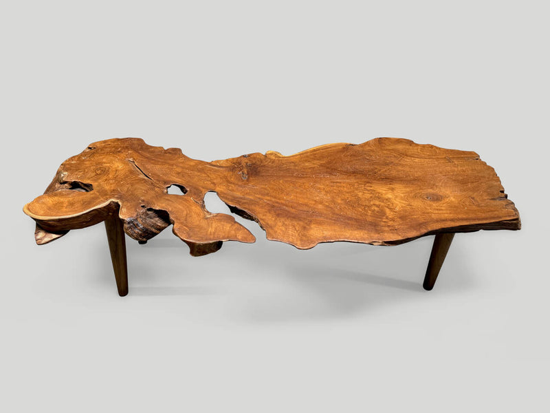 Sculptural Organic Coffee Table