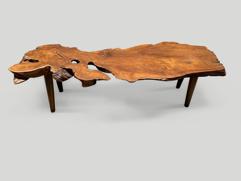 Sculptural Organic Coffee Table