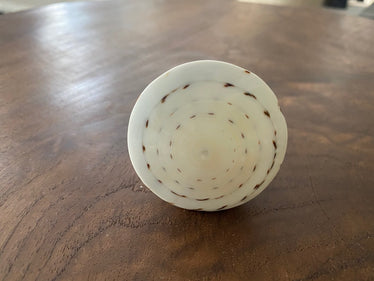Shell and Wood Door Knob