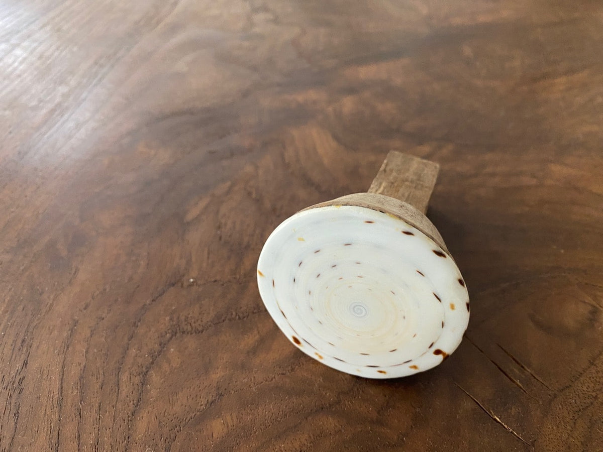 Shell and Wood Door Knob