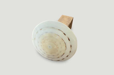 Shell and Wood Door Knob