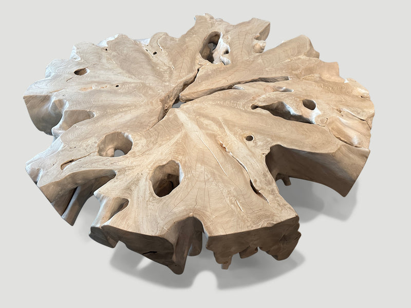 Bleached Teak Organic Coffee Table