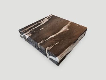 Petrified Wood Slab