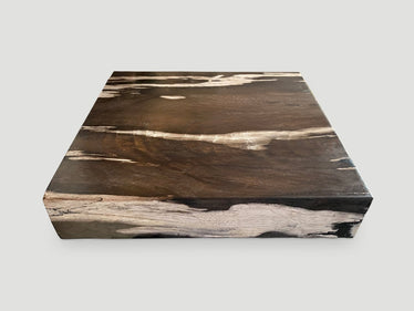 Petrified Wood Slab