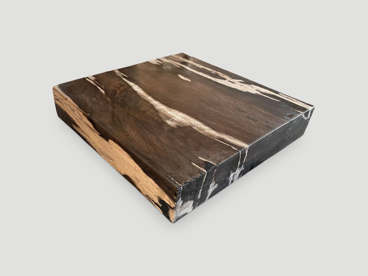 Petrified Wood Slab