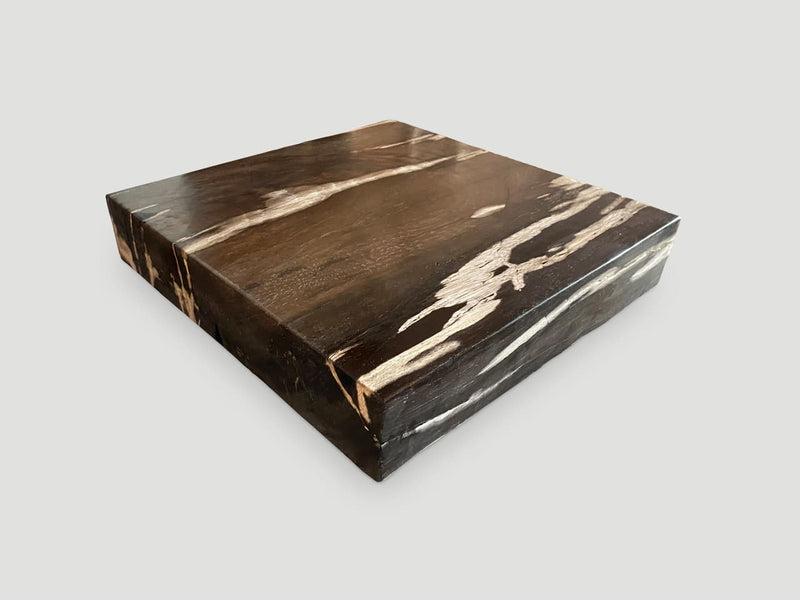 Petrified Wood Slab