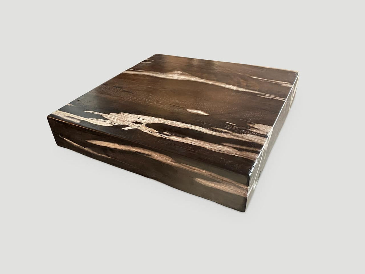 Petrified Wood Slab