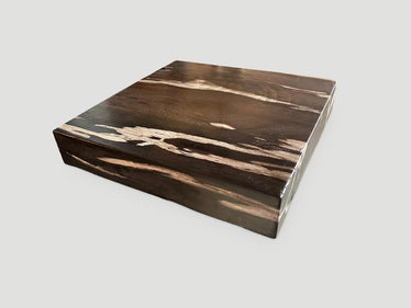 Petrified Wood Slab