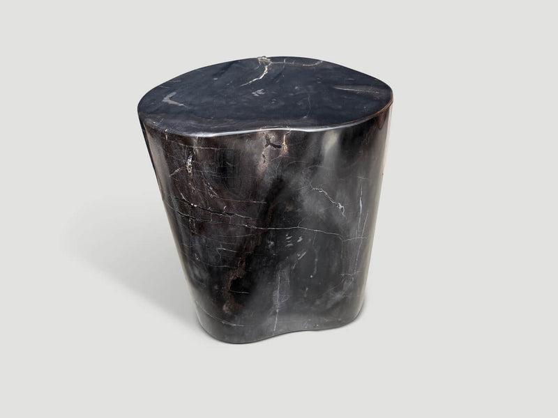 Ancient Petrified Wood Side Table