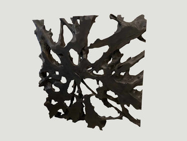 Charred Teak Root Art or Coffee Table