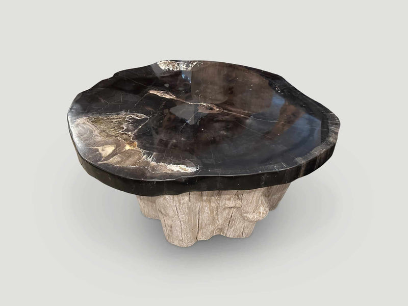 Super Smooth Petrified Wood Coffee Table with an Organic Teak Base
