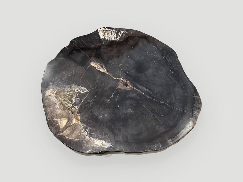 Super Smooth Petrified Wood Coffee Table with an Organic Teak Base