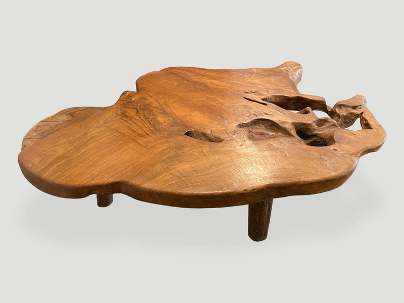 Organic Teak Root Coffee Table