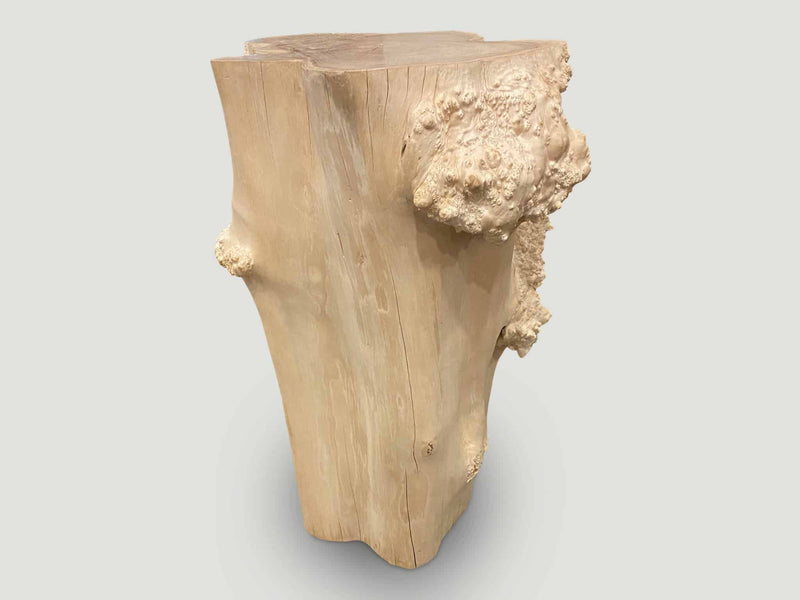 Rare Bleached Teak Root Pedestal