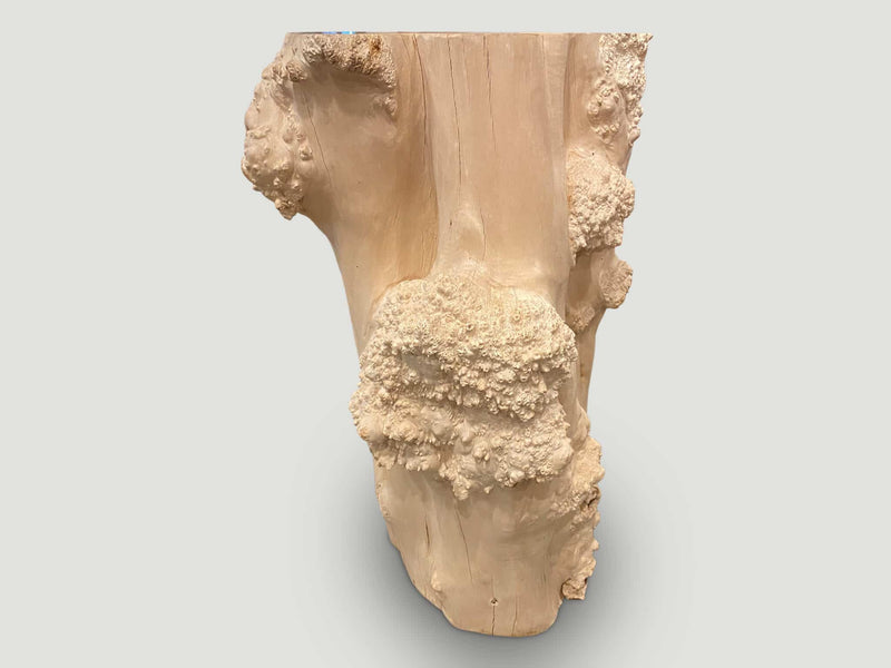 Rare Bleached Teak Root Pedestal