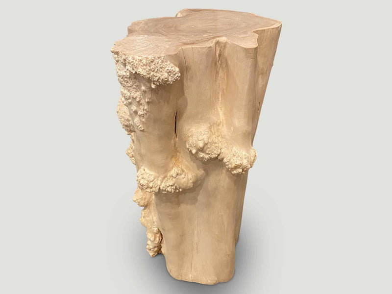 Rare Bleached Teak Root Pedestal