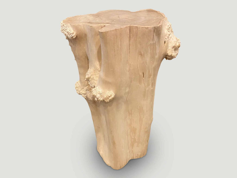 Rare Bleached Teak Root Pedestal