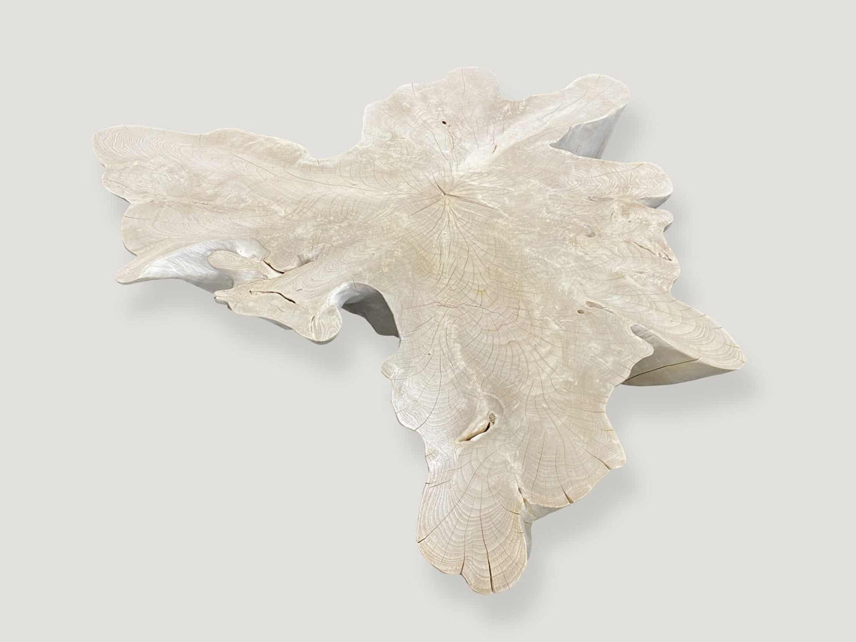 Amorphous Mid Century Style Bleached Coffee Table